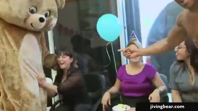 Jiving bear crashes party